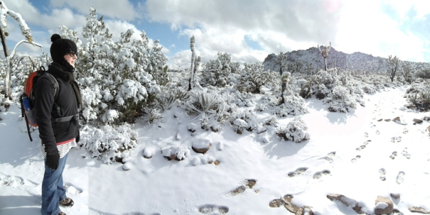 Mojave in snow1 sml (1)
